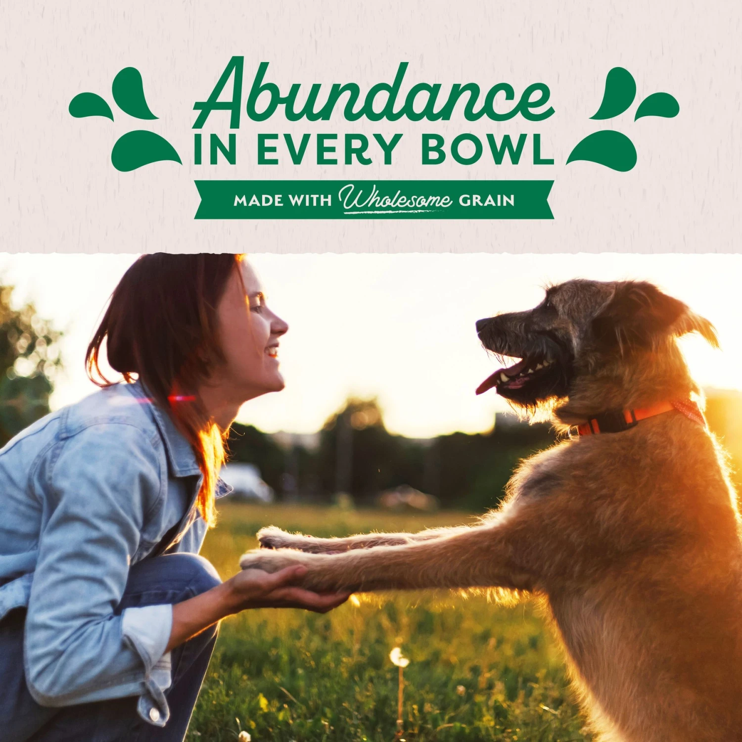 Natural Balance Original Ultra Lamb Recipe Wet Dog Food 8 Natural Balance Original Ultra Lamb Recipe Wet Dog Food - Image 6