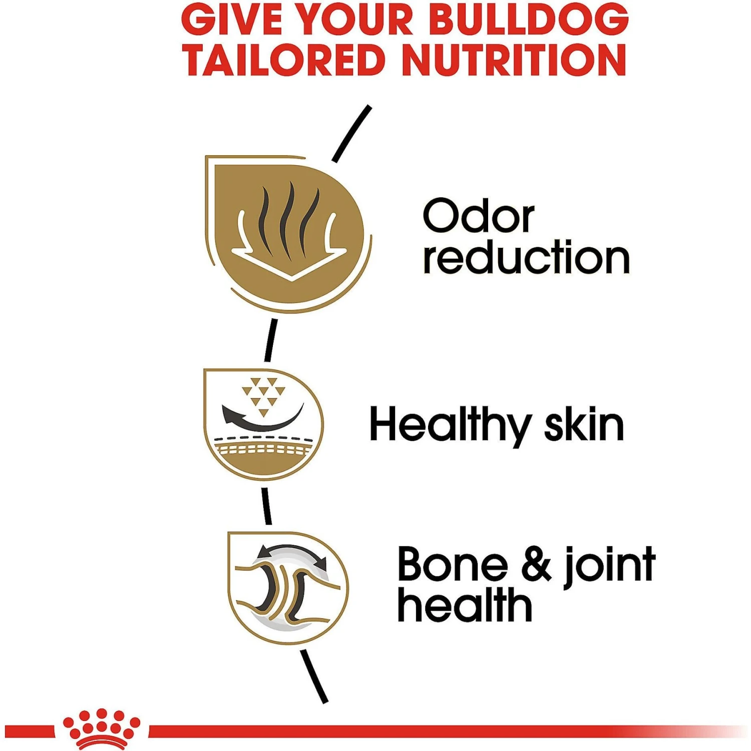 Royal Canin Breed Health Nutrition Bulldog Adult Dry Dog Food 7 Royal Canin Breed Health Nutrition Bulldog Adult Dry Dog Food - Image 5