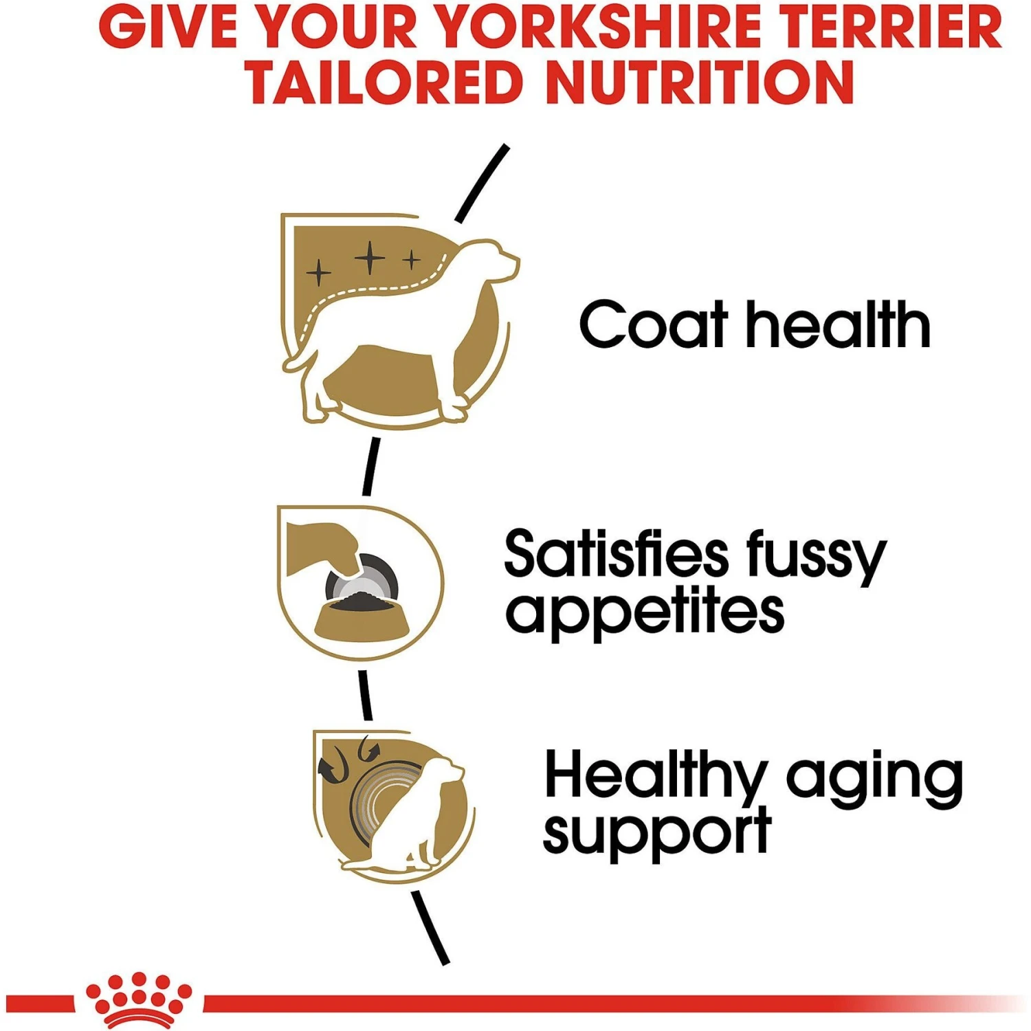 Royal Canin Breed Health Nutrition Yorkshire Terrier Adult Dry Dog Food 7 Royal Canin Breed Health Nutrition Yorkshire Terrier Adult Dry Dog Food - Image 5