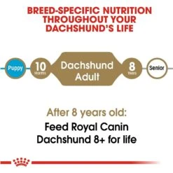 Royal Canin Breed Health Nutrition Dachshund Adult Dry Dog Food 17 Royal Canin Breed Health Nutrition Dachshund Adult Dry Dog Food -Blue Buffalo || ROYAL CANIN || Wellness Sales 48694 PT6. AC SS1800 V1697054916