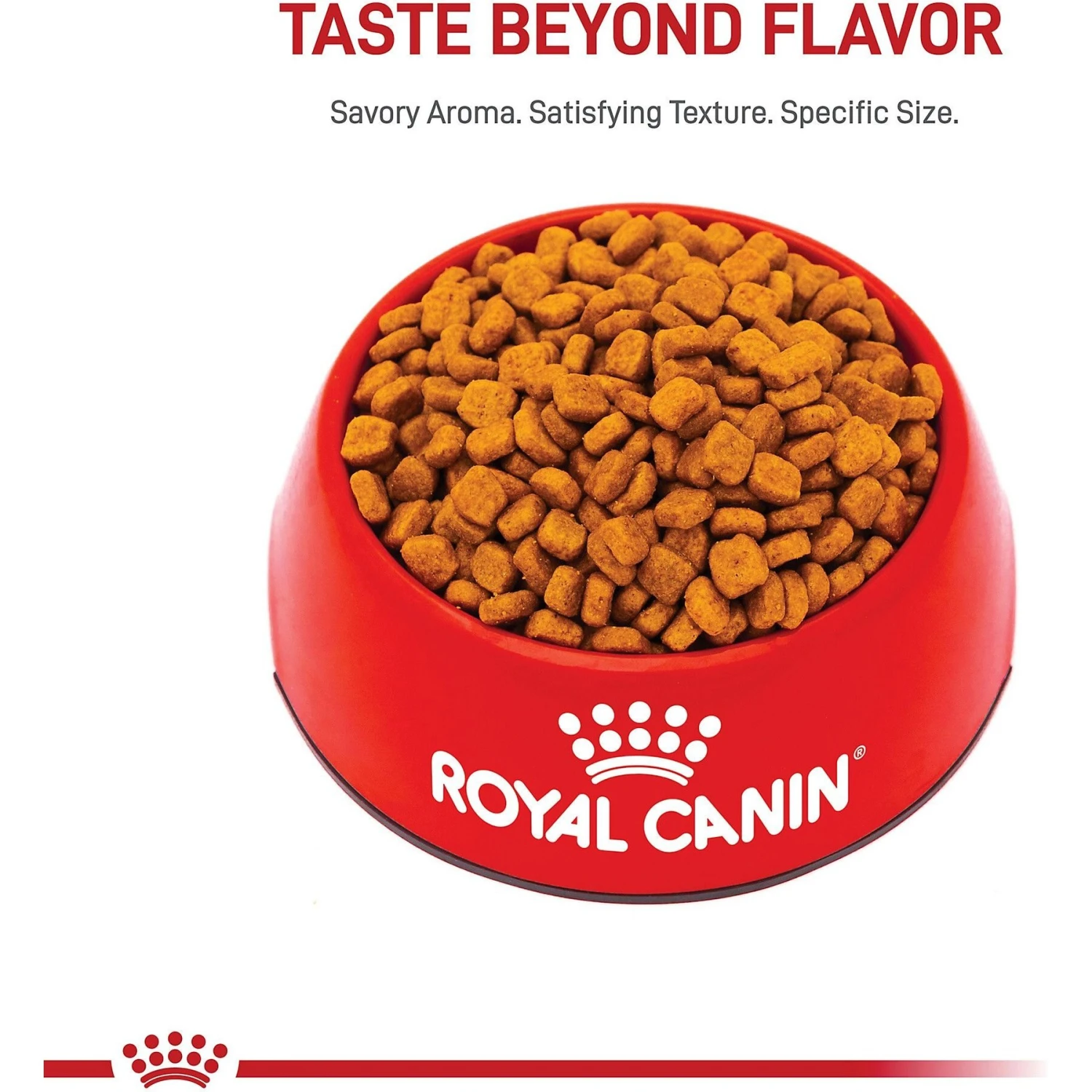 Royal Canin Breed Health Nutrition Poodle Adult Dry Dog Food 4 Royal Canin Breed Health Nutrition Poodle Adult Dry Dog Food - Image 2