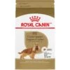 Royal Canin Breed Health Nutrition Cocker Spaniel Adult Dry Dog Food -Blue Buffalo || ROYAL CANIN || Wellness Sales 48717 MAIN. AC SS1800 V1695156286