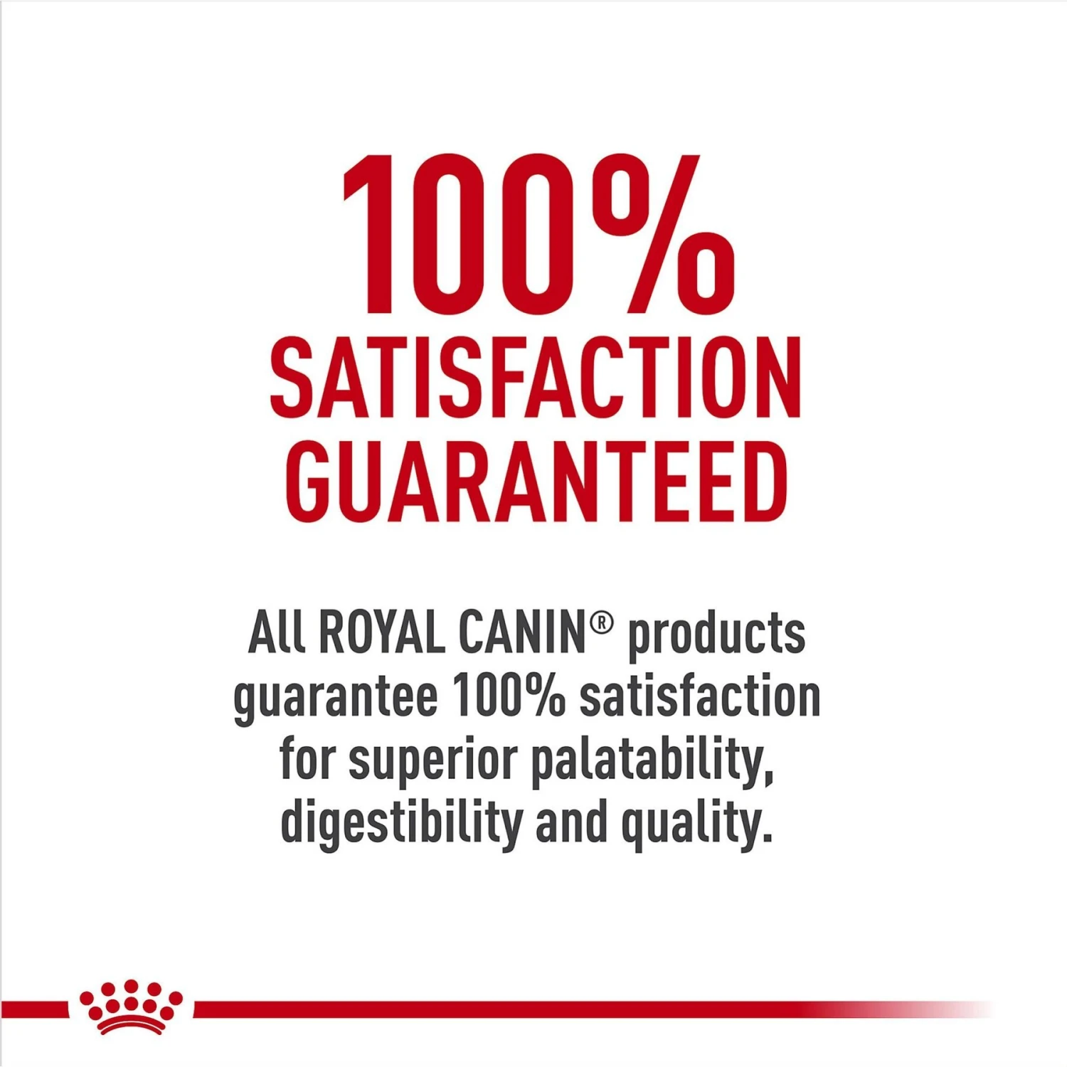 Royal Canin Breed Health Nutrition Miniature Schnauzer Adult Dry Dog Food 8 Royal Canin Breed Health Nutrition Miniature Schnauzer Adult Dry Dog Food - Image 6