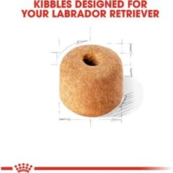 Royal Canin Breed Health Nutrition Labrador Retriever Adult Dry Dog Food -Blue Buffalo || ROYAL CANIN || Wellness Sales 48736 PT3. AC SS1800 V1697216115