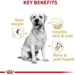 Royal Canin Breed Health Nutrition Labrador Retriever Adult Dry Dog Food -Blue Buffalo || ROYAL CANIN || Wellness Sales 48736 PT4. AC SS1800 V1697213409