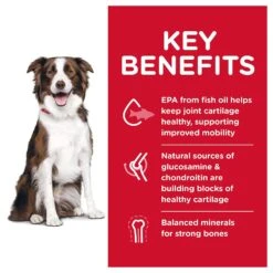 Hill's Science Diet Adult Healthy Mobility Large Breed Chicken Meal, Brown Rice & Barley Recipe Dry Dog Food 13 Hill's Science Diet Adult Healthy Mobility Large Breed Chicken Meal, Brown Rice & Barley Recipe Dry Dog Food -Blue Buffalo || ROYAL CANIN || Wellness Sales 48930 PT2. AC SS1800 V1629133290