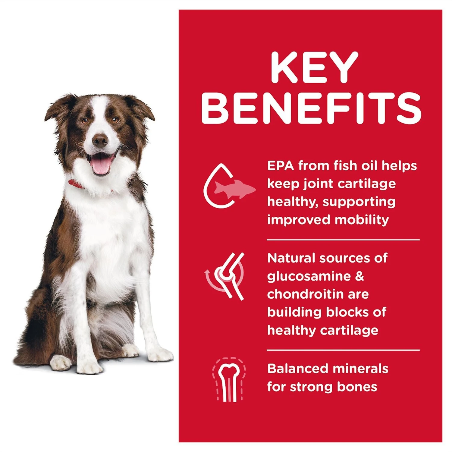 Hill's Science Diet Adult Healthy Mobility Large Breed Chicken Meal, Brown Rice & Barley Recipe Dry Dog Food 5 Hill's Science Diet Adult Healthy Mobility Large Breed Chicken Meal, Brown Rice & Barley Recipe Dry Dog Food - Image 3