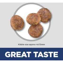 Hill's Science Diet Adult Small & Mini Chicken Meal & Rice Recipe Dry Dog Food 17 Hill's Science Diet Adult Small & Mini Chicken Meal & Rice Recipe Dry Dog Food -Blue Buffalo || ROYAL CANIN || Wellness Sales 48941 PT6. AC SS1800 V1692801732