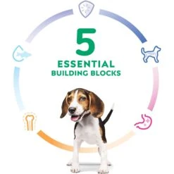 Hill's Science Diet Puppy Chicken & Barley Entree Canned Dog Food -Blue Buffalo || ROYAL CANIN || Wellness Sales 48946 PT4. AC SS1800 V1690566662