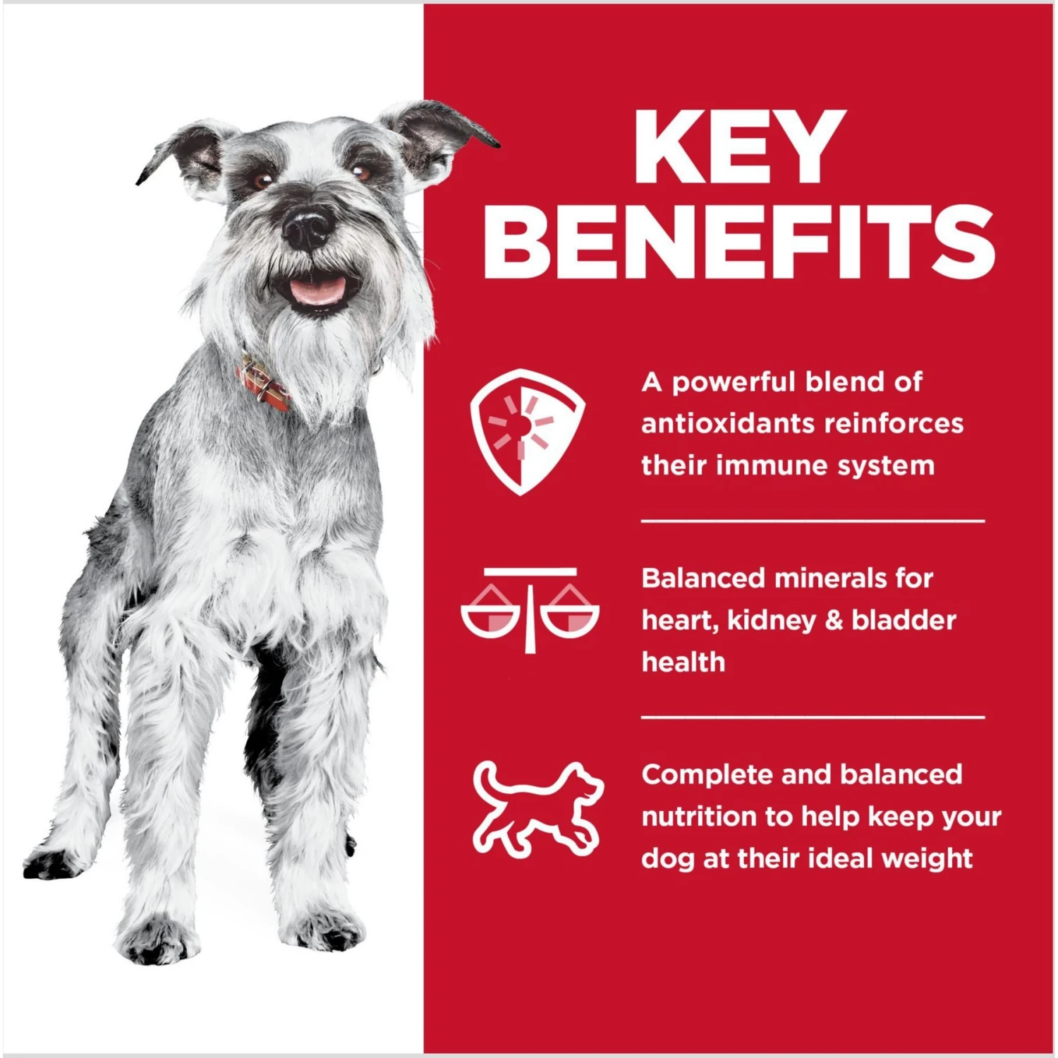 Hill's Science Diet Adult 7+ Small & Mini Chicken & Barley Entree Canned Dog Food 7 Hill's Science Diet Adult 7+ Small & Mini Chicken & Barley Entree Canned Dog Food - Image 5