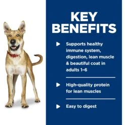 Hill's Science Diet Adult Chicken& Beef Entree Canned Dog Food 16 Hill's Science Diet Adult Chicken& Beef Entree Canned Dog Food -Blue Buffalo || ROYAL CANIN || Wellness Sales 48956 PT5. AC SS1800 V1598145381