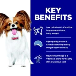 Hill's Science Diet Adult Light Small & Mini With Chicken Meal & Barley Dry Dog Food -Blue Buffalo || ROYAL CANIN || Wellness Sales 48958 PT5. AC SS1800 V1692727424