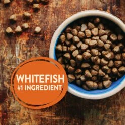 Wellness CORE Ocean Whitefish, Herring & Salmon Recipe Dry Dog Food -Blue Buffalo || ROYAL CANIN || Wellness Sales 49158 PT3. AC SS1800 V1594855556