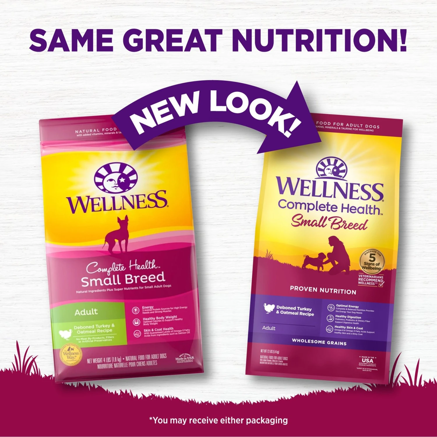 Wellness Small Breed Complete Health Adult Turkey & Oatmeal Recipe Natural Dry Dog Food 4 Wellness Small Breed Complete Health Adult Turkey & Oatmeal Recipe Natural Dry Dog Food - Image 2