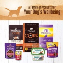 Wellness Ninety-Five Percent Lamb Grain-Free Canned Dog Food -Blue Buffalo || ROYAL CANIN || Wellness Sales 49197 PT6. AC SS1800 V1657657680