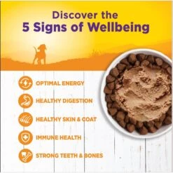 Wellness Complete Health Just For Puppy Canned Dog Food 11 Wellness Complete Health Just For Puppy Canned Dog Food -Blue Buffalo || ROYAL CANIN || Wellness Sales 49210 PT2. AC SS1800 V1691423158