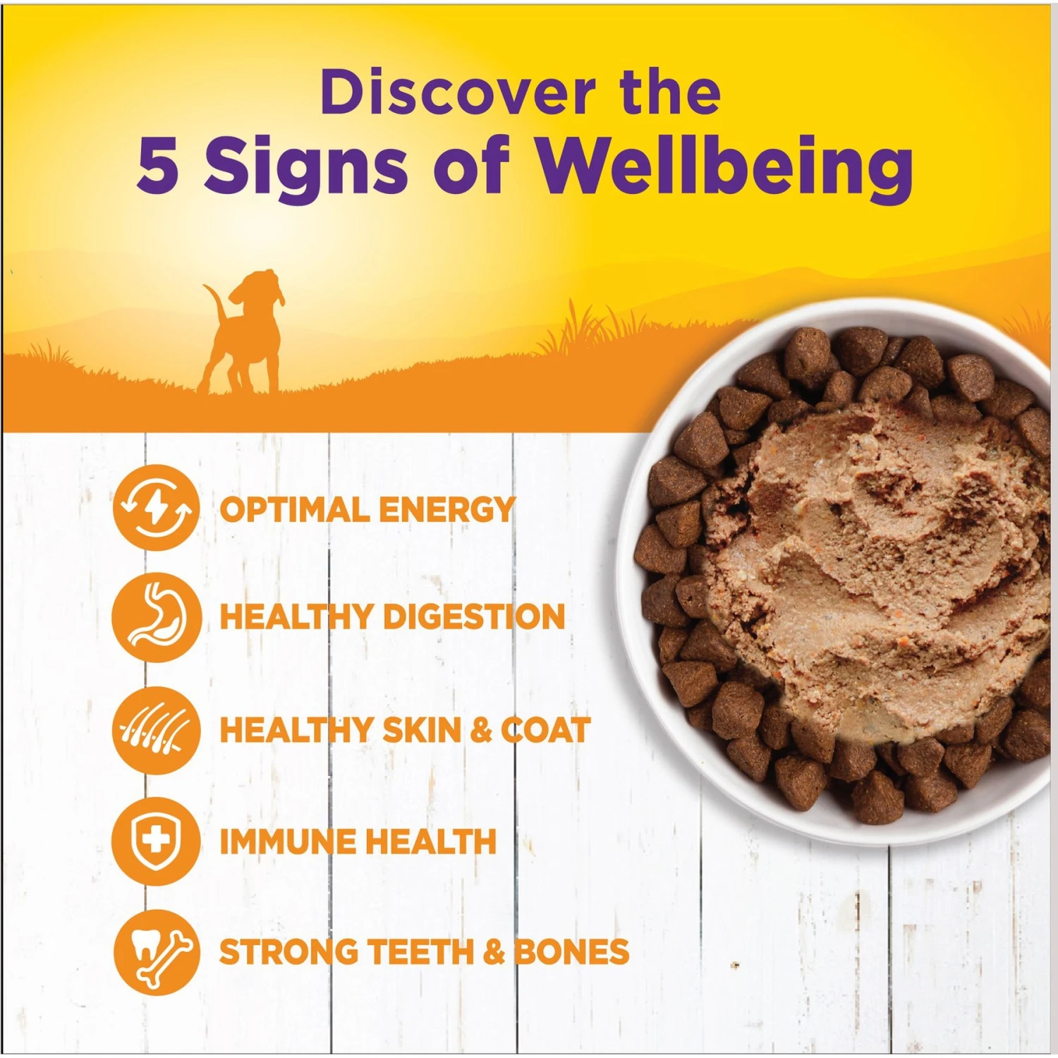 Wellness Complete Health Just For Puppy Canned Dog Food 5 Wellness Complete Health Just For Puppy Canned Dog Food - Image 3