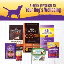 Wellness Turkey Stew With Barley & Carrots Canned Dog Food -Blue Buffalo || ROYAL CANIN || Wellness Sales 49223 PT5. AC SS1800 V1657657682