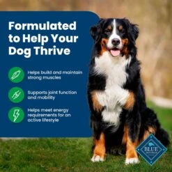 Blue Buffalo Life Protection Formula Adult Lamb & Brown Rice Recipe Dry Dog Food -Blue Buffalo || ROYAL CANIN || Wellness Sales 49557 PT3. AC SS1800 V1702329355