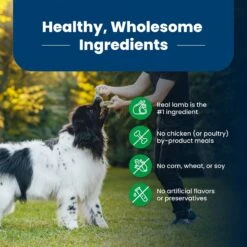 Blue Buffalo Life Protection Formula Adult Lamb & Brown Rice Recipe Dry Dog Food -Blue Buffalo || ROYAL CANIN || Wellness Sales 49557 PT5. AC SS1800 V1702329563