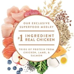 Nutro Ultra Large Breed Puppy High Protein Dry Dog Food -Blue Buffalo || ROYAL CANIN || Wellness Sales 49634 PT2. AC SS1800 V1702678487