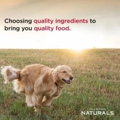 Diamond Naturals Large Breed Puppy Formula Dry Dog Food -Blue Buffalo || ROYAL CANIN || Wellness Sales 49745 PT4. AC SS1800 V1635741985