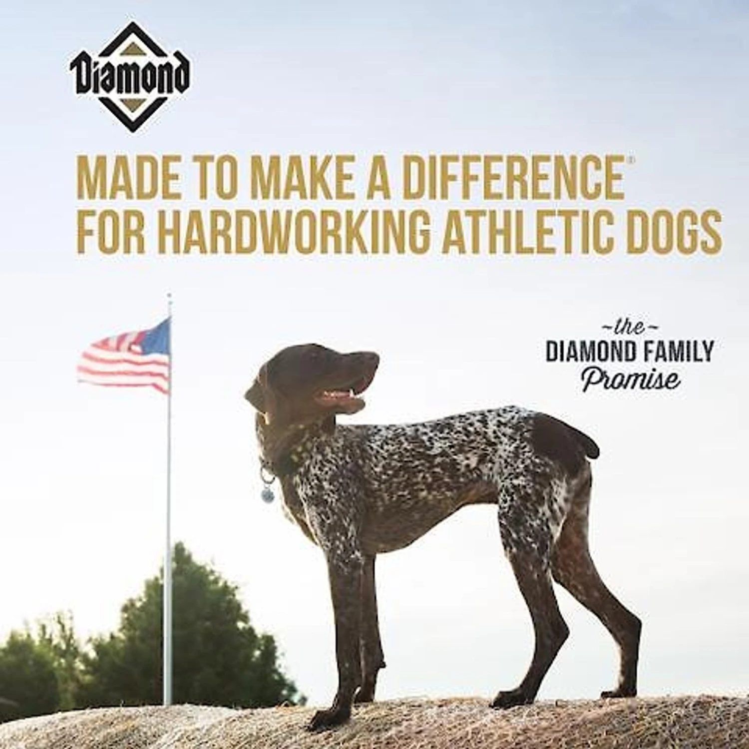Diamond Performance Formula Adult Dry Dog Food 7 Diamond Performance Formula Adult Dry Dog Food - Image 5