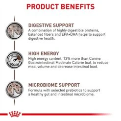 Royal Canin Veterinary Diet Adult Gastrointestinal Loaf Canned Dog Food -Blue Buffalo || ROYAL CANIN || Wellness Sales 50194 PT2. AC SS1800 V1692048534