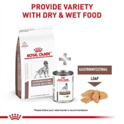 Royal Canin Veterinary Diet Adult Gastrointestinal Loaf Canned Dog Food -Blue Buffalo || ROYAL CANIN || Wellness Sales 50194 PT3. AC SS1800 V1691702115