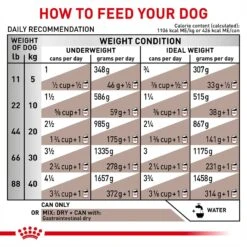 Royal Canin Veterinary Diet Adult Gastrointestinal Loaf Canned Dog Food -Blue Buffalo || ROYAL CANIN || Wellness Sales 50194 PT5. AC SS1800 V1691702115