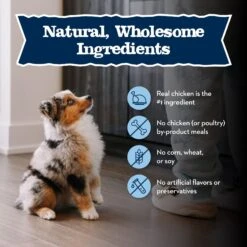Blue Buffalo Baby Blue Healthy Growth Formula Natural Chicken & Vegetable Recipe Puppy Wet Food, 12.5-oz Cans, Case Of 12 15 Blue Buffalo Baby Blue Healthy Growth Formula Natural Chicken & Vegetable Recipe Puppy Wet Food, 12.5-oz Cans, Case Of 12 -Blue Buffalo || ROYAL CANIN || Wellness Sales 502134 PT5. AC SS1800 V1647637036