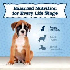 Blue Buffalo Baby Blue Healthy Growth Formula Natural Chicken & Vegetable Recipe Puppy Wet Food, 12.5-oz Cans, Case Of 12 17 Blue Buffalo Baby Blue Healthy Growth Formula Natural Chicken & Vegetable Recipe Puppy Wet Food, 12.5-oz Cans, Case Of 12 -Blue Buffalo || ROYAL CANIN || Wellness Sales 502134 PT7. AC SS1800 V1647639995
