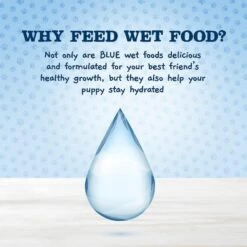 Blue Buffalo Baby Blue Natural Chicken, Lamb & Vegetable Recipe Variety Pack Puppy Wet Food, 3.5-oz Cans, Case Of 12 -Blue Buffalo || ROYAL CANIN || Wellness Sales 502230 PT5. AC SS1800 V1647640036