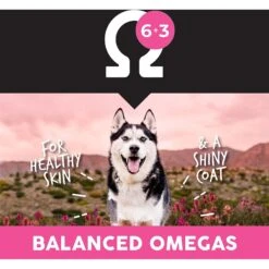 Ultimates Meadow Prime Grain-Free Lamb & Potato Dry Dog Food -Blue Buffalo || ROYAL CANIN || Wellness Sales 502434 PT5. AC SS1800 V1647986515