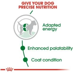 Royal Canin Size Health Nutrition Small Adult Dry Dog Food 15 Royal Canin Size Health Nutrition Small Adult Dry Dog Food -Blue Buffalo || ROYAL CANIN || Wellness Sales 50246 PT4. AC SS1800 V1592568053