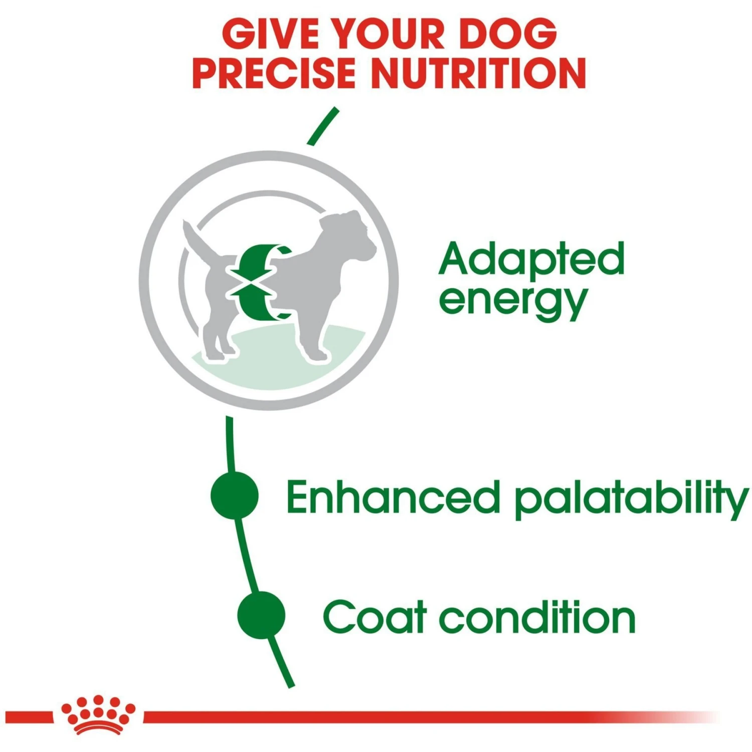 Royal Canin Size Health Nutrition Small Adult Dry Dog Food 7 Royal Canin Size Health Nutrition Small Adult Dry Dog Food - Image 5