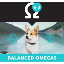 Ultimates Bayside Select Fish & Potato Grain-Free Dry Dog Food -Blue Buffalo || ROYAL CANIN || Wellness Sales 502494 PT5. AC SS1800 V1647986493