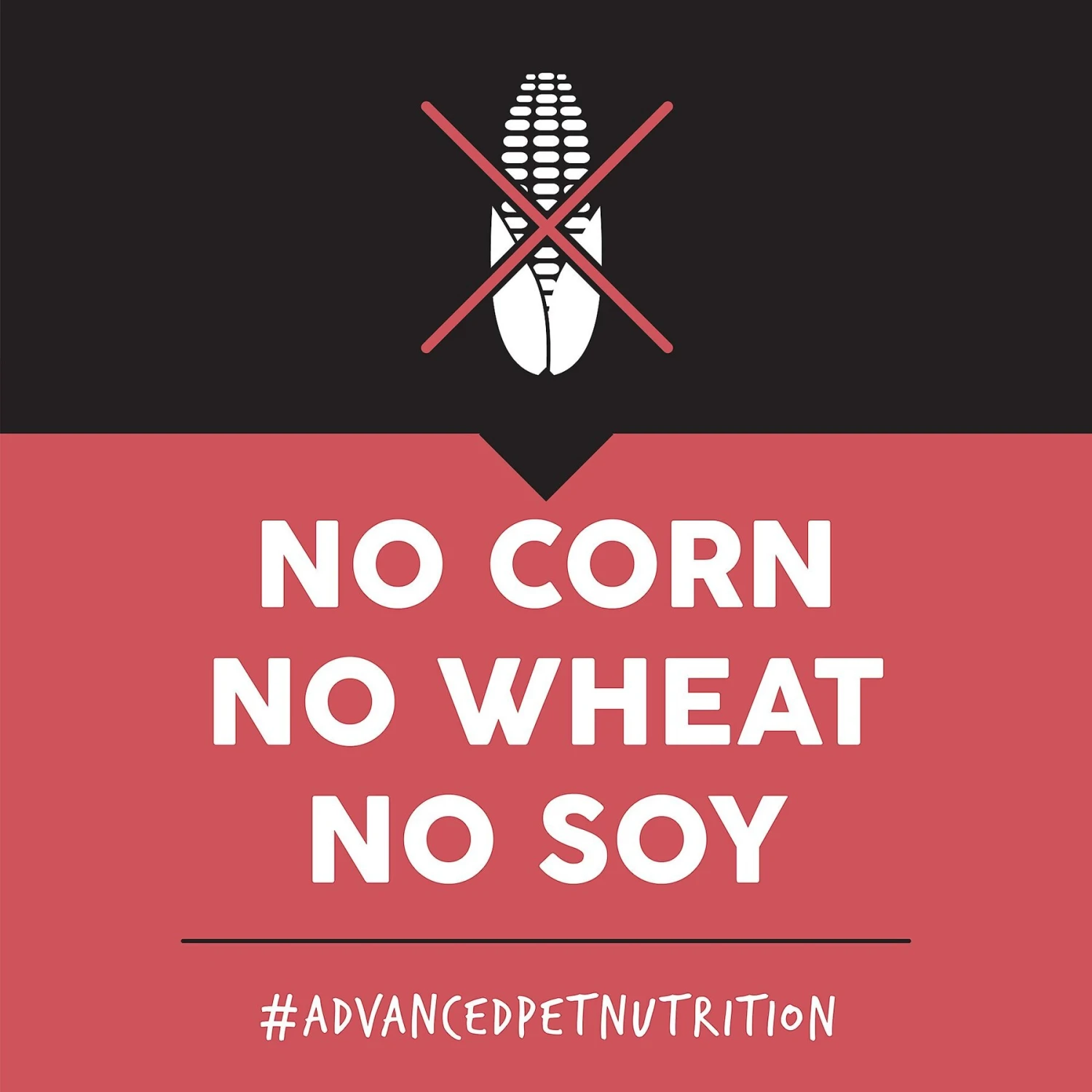 Ultimates Overland Grain-Free Red Beef & Potato Dry Dog Food 7 Ultimates Overland Grain-Free Red Beef & Potato Dry Dog Food - Image 5