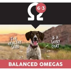 Ultimates Overland Grain-Free Red Beef & Potato Dry Dog Food 14 Ultimates Overland Grain-Free Red Beef & Potato Dry Dog Food -Blue Buffalo || ROYAL CANIN || Wellness Sales 502506 PT5. AC SS1800 V1647986484