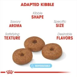 Royal Canin Size Health Nutrition Small Aging 12+ Dry Dog Food -Blue Buffalo || ROYAL CANIN || Wellness Sales 50257 PT2. AC SS1800 V1697212427