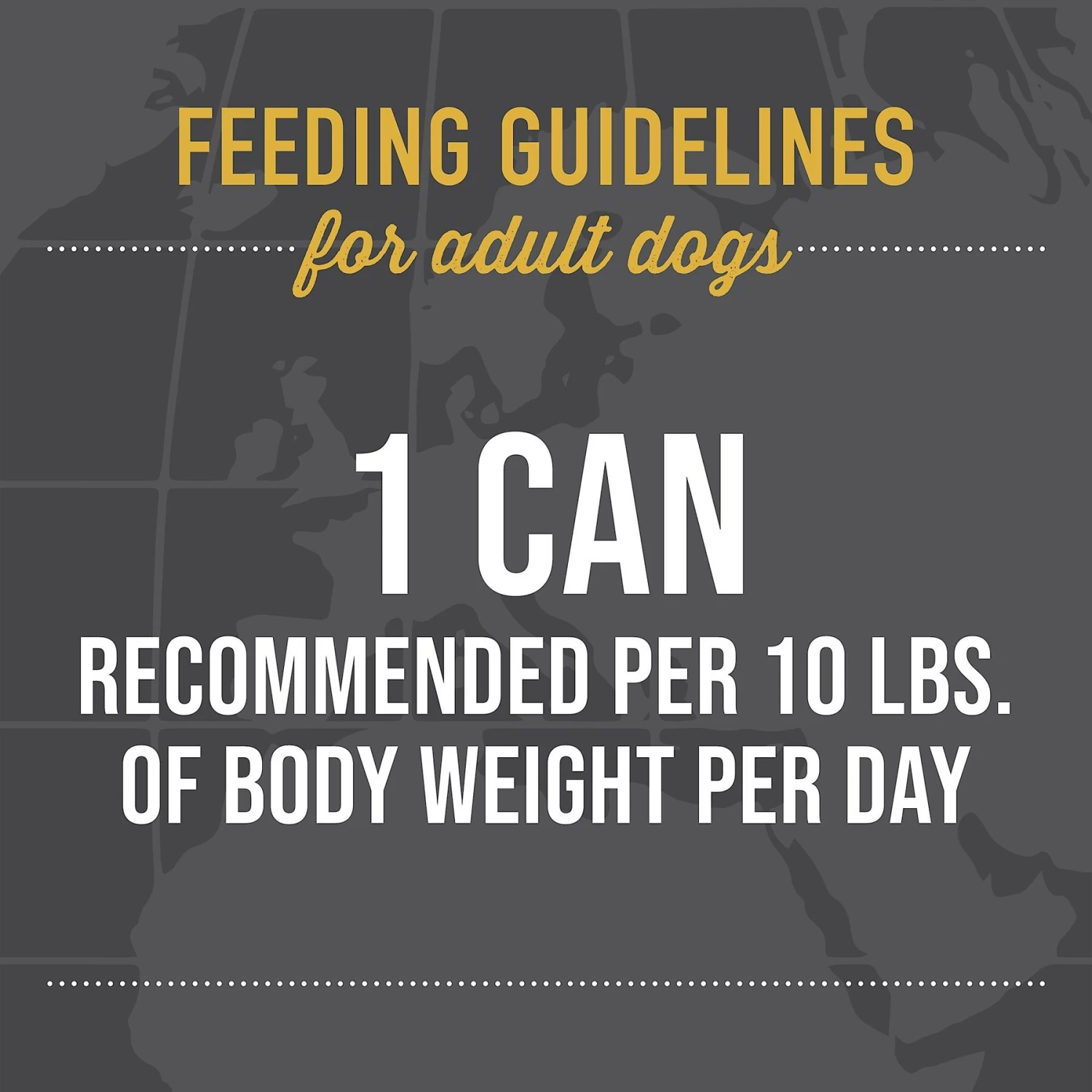 Tiki Dog Taste Of India! Grain-Free Chicken Masala Chunks In Gravy Canned Dog Food, 12-oz, Case Of 8 8 Tiki Dog Taste Of India! Grain-Free Chicken Masala Chunks In Gravy Canned Dog Food, 12-oz, Case Of 8 - Image 6