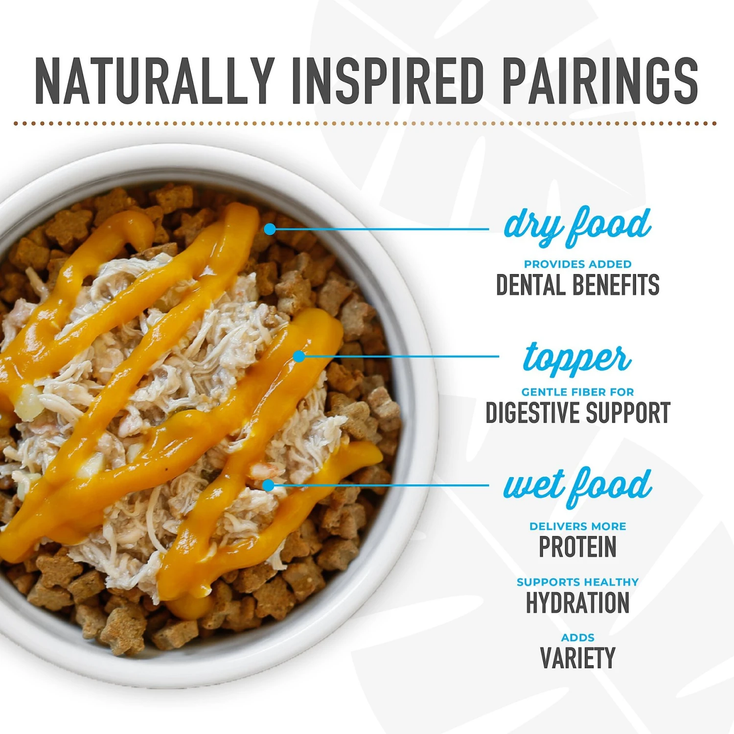 Tiki Dog Taste Of Greece! Grain-Free Lamb Couscous & Chickpea Chunks In Gravy Canned Dog Food 9 Tiki Dog Taste Of Greece! Grain-Free Lamb Couscous & Chickpea Chunks In Gravy Canned Dog Food - Image 7