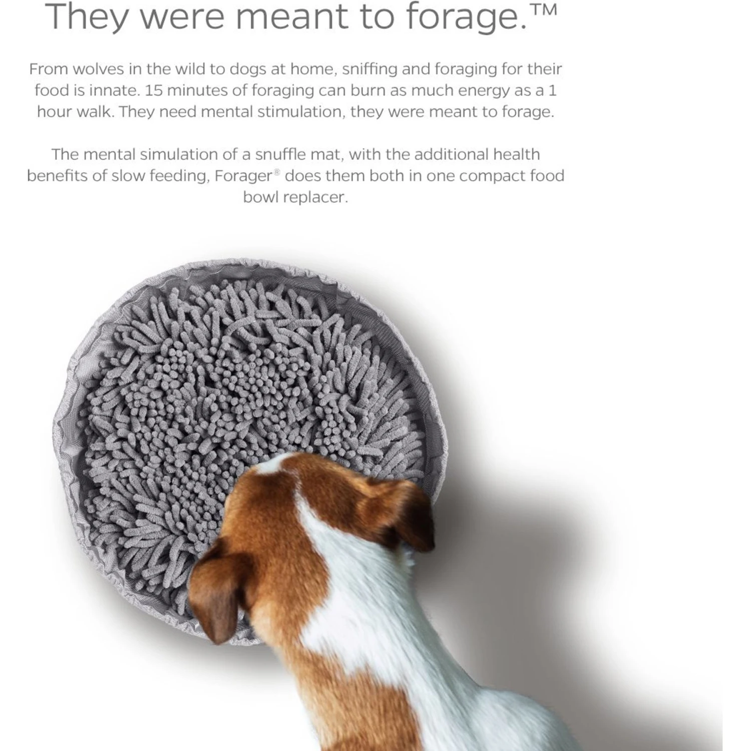 Pet Parents Forager Snuffle Mat & Slow Feeder Dog Bowl 6 Pet Parents Forager Snuffle Mat & Slow Feeder Dog Bowl - Image 4