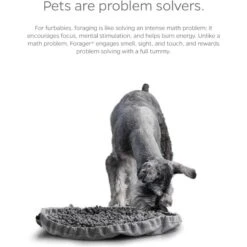 Pet Parents Forager Snuffle Mat & Slow Feeder Dog Bowl 16 Pet Parents Forager Snuffle Mat & Slow Feeder Dog Bowl -Blue Buffalo || ROYAL CANIN || Wellness Sales 505542 PT5. AC SS1800 V1696255492