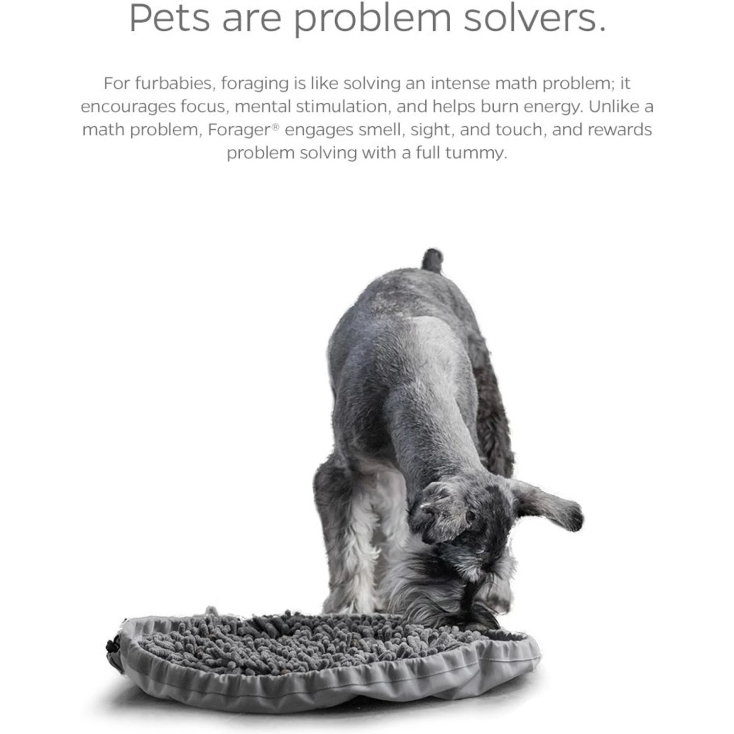 Pet Parents Forager Snuffle Mat & Slow Feeder Dog Bowl 8 Pet Parents Forager Snuffle Mat & Slow Feeder Dog Bowl - Image 6