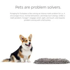 Pet Parents Forager Slow Feeder Cat & Dog Snuffle Mat & Feeding Mat 15 Pet Parents Forager Slow Feeder Cat & Dog Snuffle Mat & Feeding Mat -Blue Buffalo || ROYAL CANIN || Wellness Sales 505602 PT4. AC SS1800 V1696008728