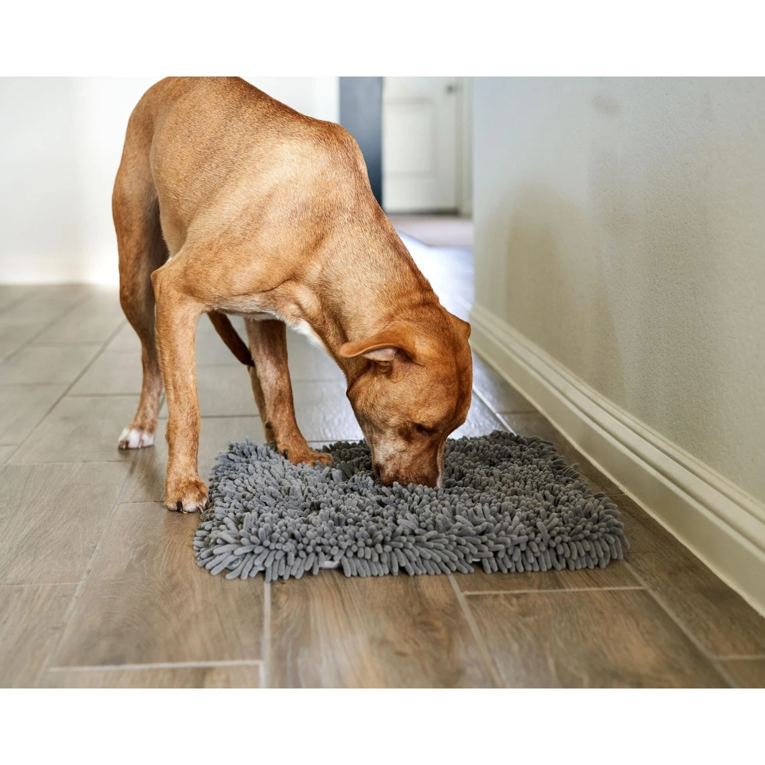 Pet Parents Forager Slow Feeder Cat & Dog Snuffle Mat & Feeding Mat 11 Pet Parents Forager Slow Feeder Cat & Dog Snuffle Mat & Feeding Mat - Image 9