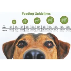 Blackwood 1000 Chicken Meal & Oats Recipe Everyday Diet Adult Dry Dog Food -Blue Buffalo || ROYAL CANIN || Wellness Sales 50914 PT4. AC SS1800 V1550528270