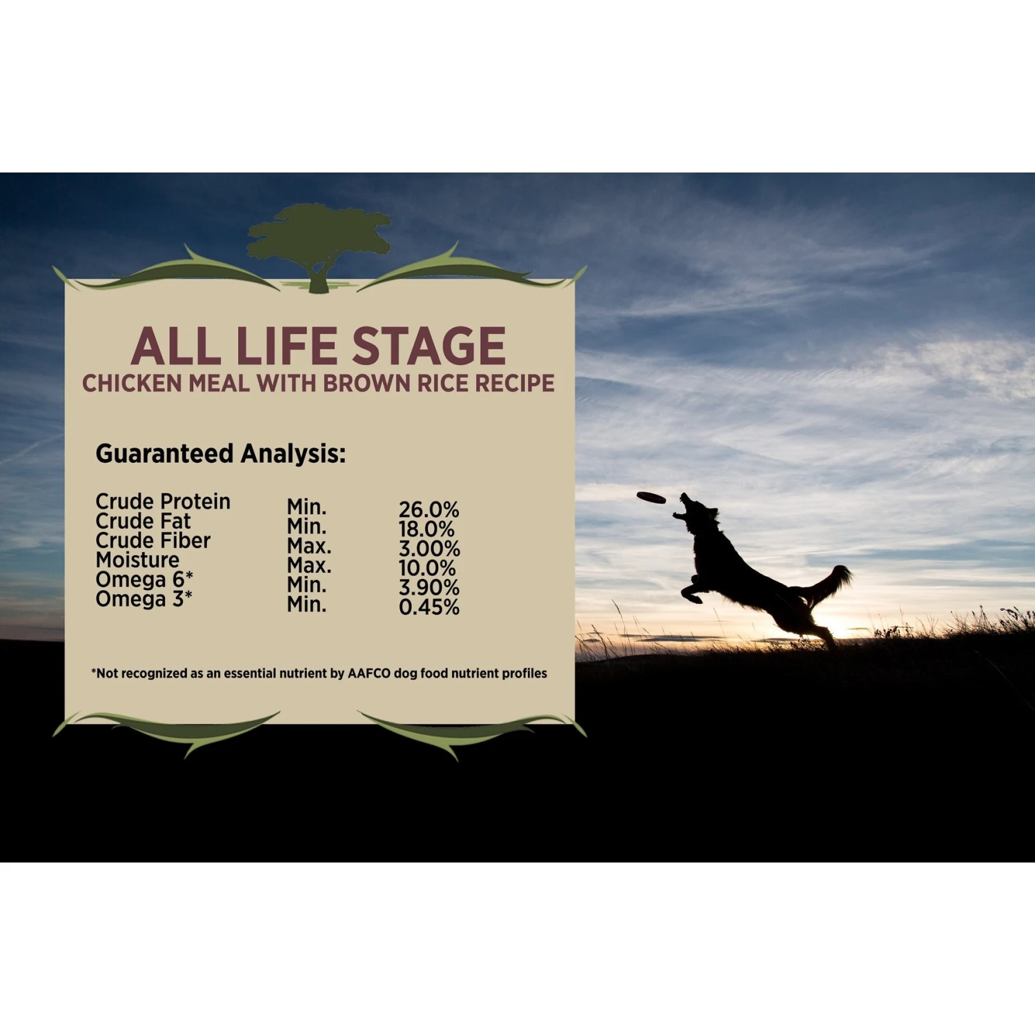 Blackwood 2000 Chicken Meal & Brown Rice Recipe Active Diet Dry Dog Food 6 Blackwood 2000 Chicken Meal & Brown Rice Recipe Active Diet Dry Dog Food - Image 4