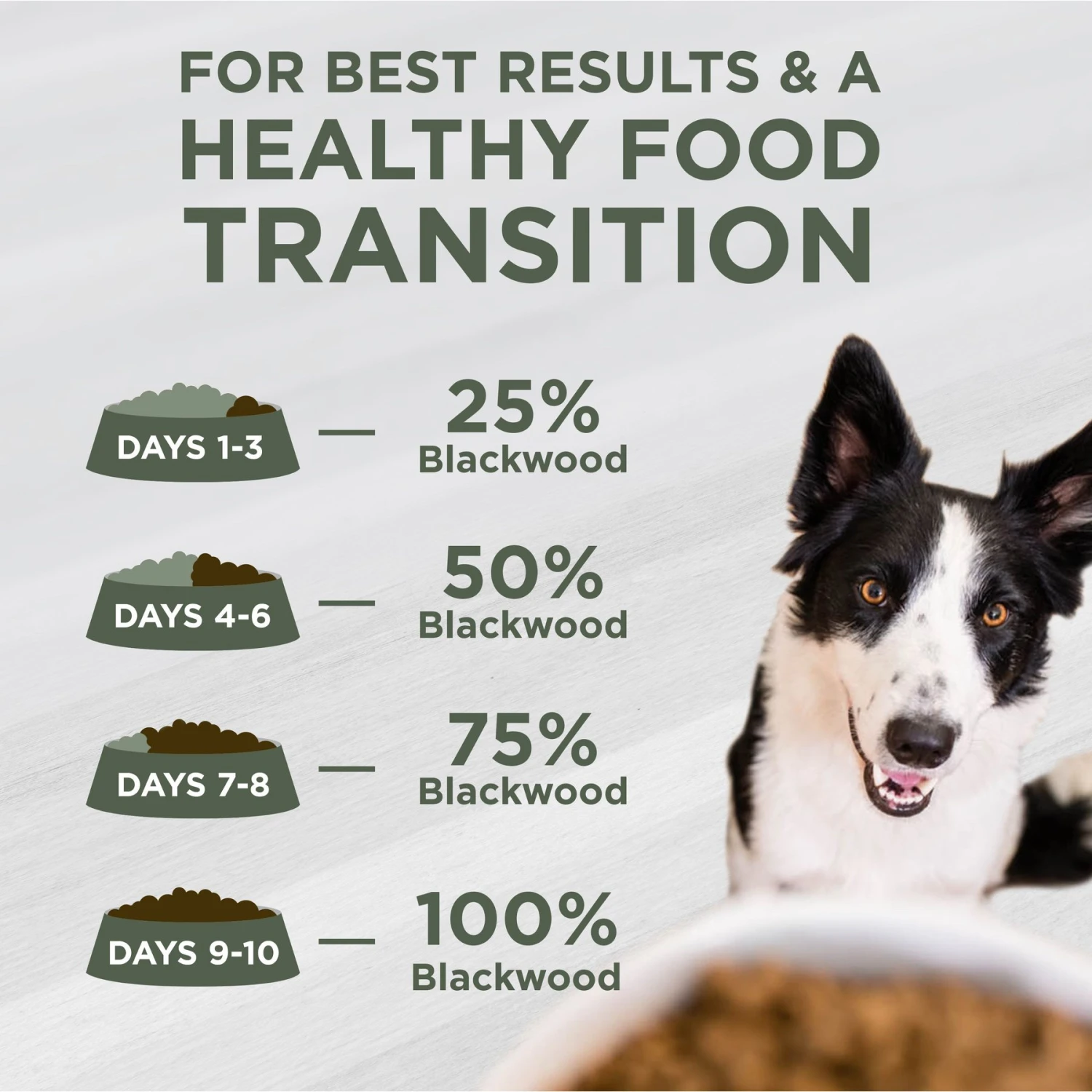Blackwood 5000 Catfish Meal & Pearled Barley Sensitive Skin & Stomach Formula Dry Dog Food 7 Blackwood 5000 Catfish Meal & Pearled Barley Sensitive Skin & Stomach Formula Dry Dog Food - Image 5
